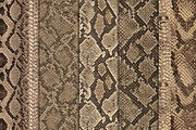 Realistic Snake Skin Patterns, a Pattern Graphic by Artonix (Thumbnail 2 of 4)