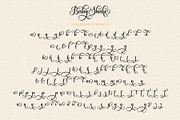 Baby Shake - Luxury Calligraphy Font, a Script Font by Airotype (Thumbnail 12 of 13)