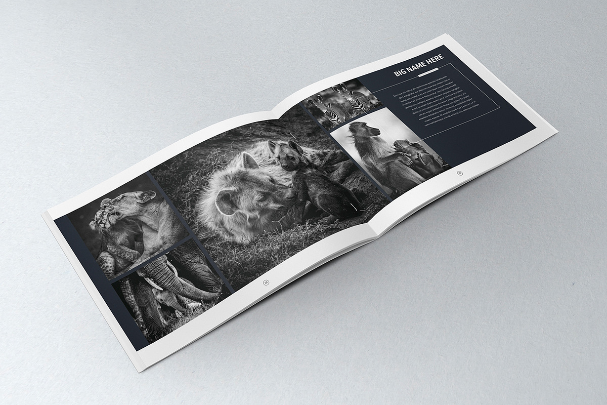 Elegant Photo Album A4 + Letter, a Brochure Template by Luuqas Design (Photo 6 of 7)