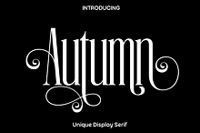 Autumn - Unique Display Serif