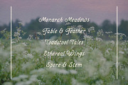 Fairwren, a Serif Font by Fairwren Creative (Thumbnail 7 of 9)