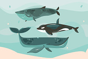 Mermazing Life 30% OFF!, an Animal Illustration by Anastasy_helter (Thumbnail 4 of 21)