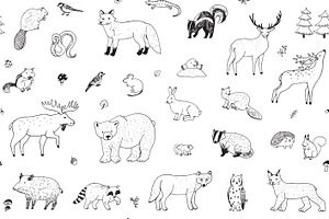 Forest Animals