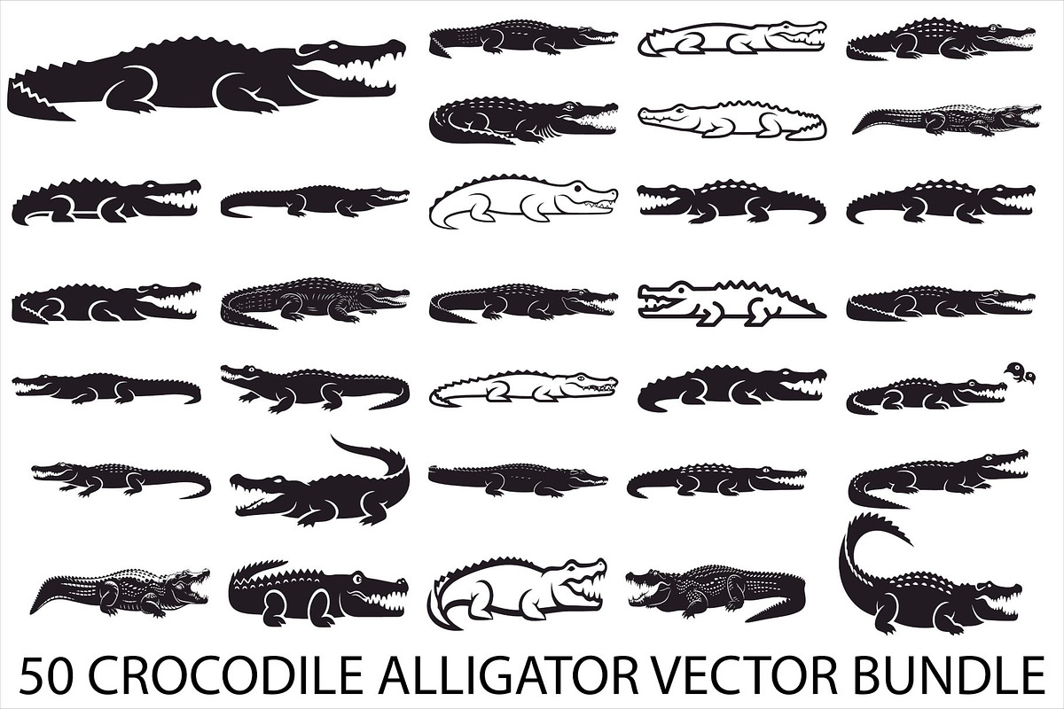 Crocodile Alligator Vector Bundle, an Illustration by jahid234 (Photo 1 of 51)