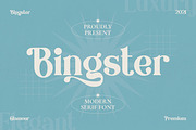 Bringster - Modern Serif Font, a Serif Font by Fype Co. (Thumbnail 1 of 5)