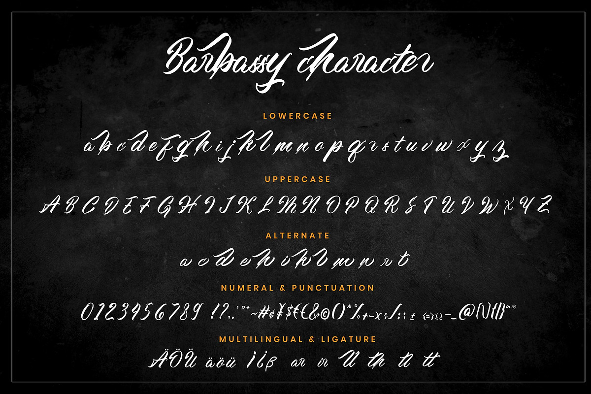 Barbassy a modern handlettering Font, a Script Font by Javatype Studio (Photo 7 of 8)