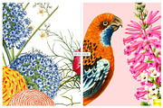 Paradise Florals Prints & Motifs, a Pattern Graphic by TSTUDIO (Thumbnail 7 of 13)