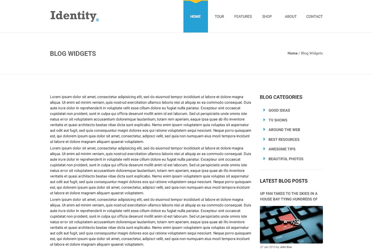 Identity - PSD Website Template, a Landing Page Template by Modo Press