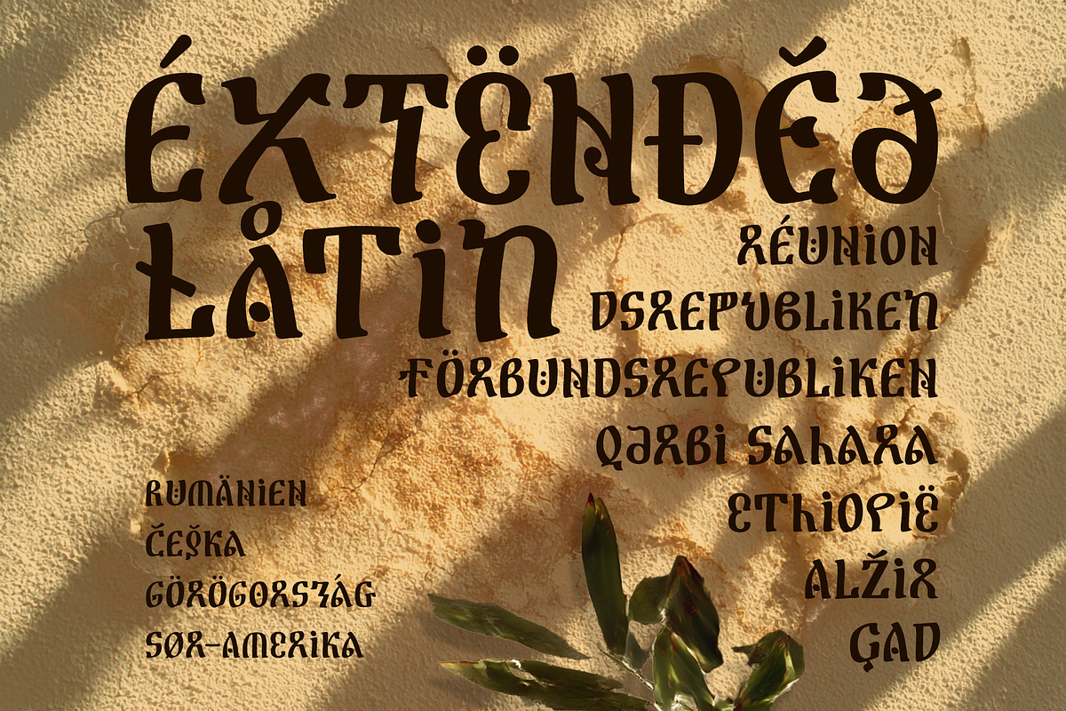 ST-Fidal african font, a Handwritten Font by Shimanov Types (Photo 2 of 5)