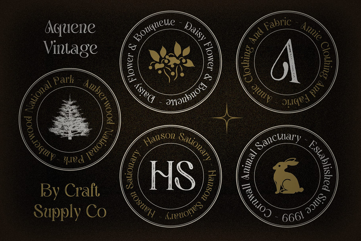 Aquene Vintage, a Serif Font by Craft Supply Co. (Photo 6 of 8)
