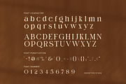 Comig Elegant Serif Font, a Serif Font by Perfectype (Thumbnail 7 of 8)
