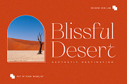 SS Angel Peach - Fancy Serif Font, a Serif Font by Typocracy Studio (Thumbnail 9 of 12)