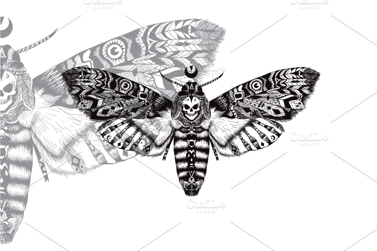 Textured moth in ethnic style, a Texture Illustration by AnastasiaFears (Photo 3 of 3)