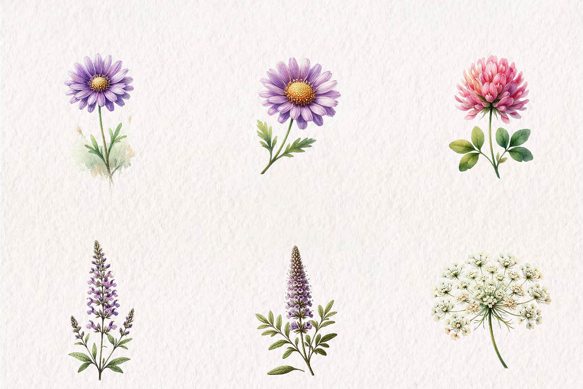 Wildflower Meadow Clipart Set, a Seasonal Illustration by CreationArt (Photo 2 of 7)
