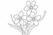 Floral Coloring Book for Adults Set, an Illustration by Creativeshirt (Thumbnail 7 of 9)