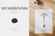 Mushrooms illustrations. Fungi set, a Food Illustration by Diana Askarova Art (Thumbnail 5 of 6)