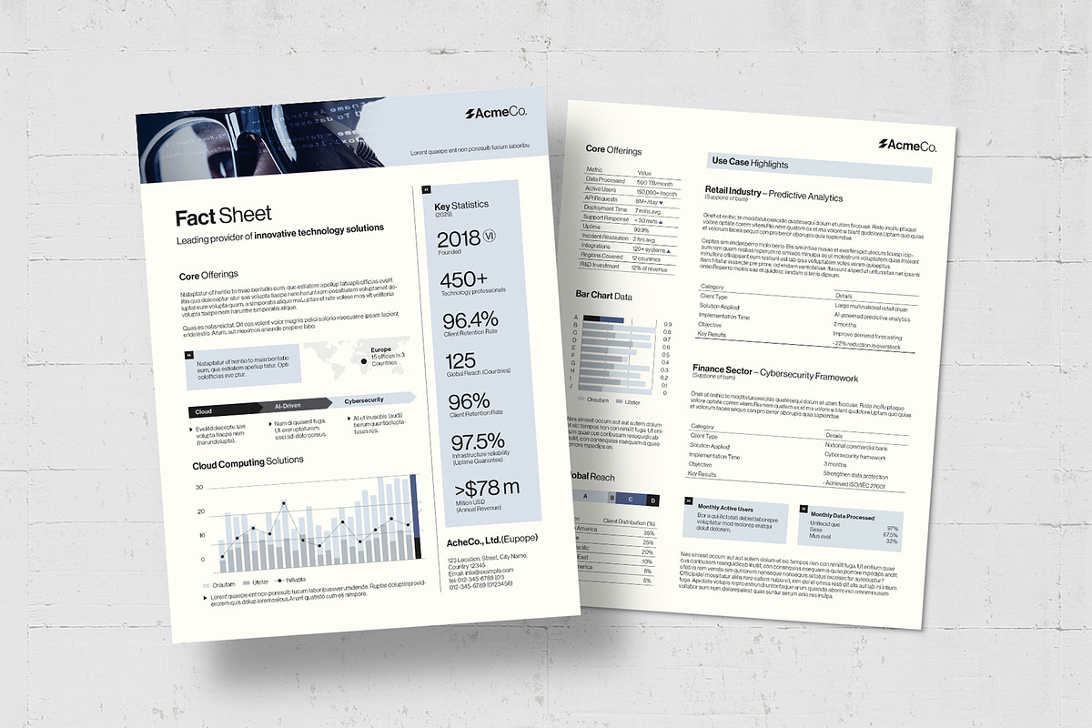 Fact Sheet Template, a Flyer Template by BrandPacks