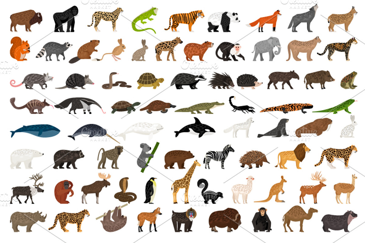 Big Set of Animals, an Object Graphic by ianakauri (Photo 3 of 12)