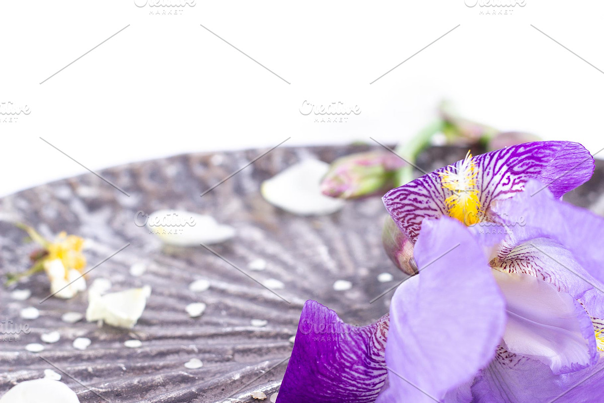 Purple Iris Styled Stock Collection, a Photo by Chalking Up Stock (Photo 14 of 19)