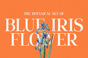 Weest Advega Serif Font, a Serif Font by Koplexs Studio (Thumbnail 3 of 10)