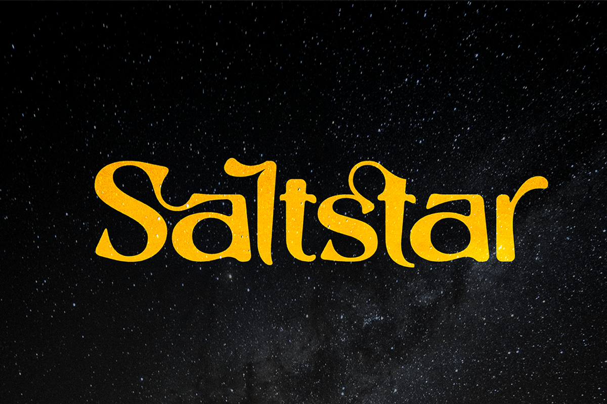Saltstar Font, a Sans Serif Font by Grontype (Photo 1 of 12)