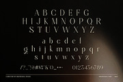 Flogst Elegant Serif Font, a Serif Font by Graphicxell (Thumbnail 8 of 8)