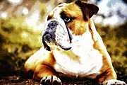 20-in-1 Ultimate Photoshop Actions, an Action Add-On by Studio Retouch (Thumbnail 3 of 61)