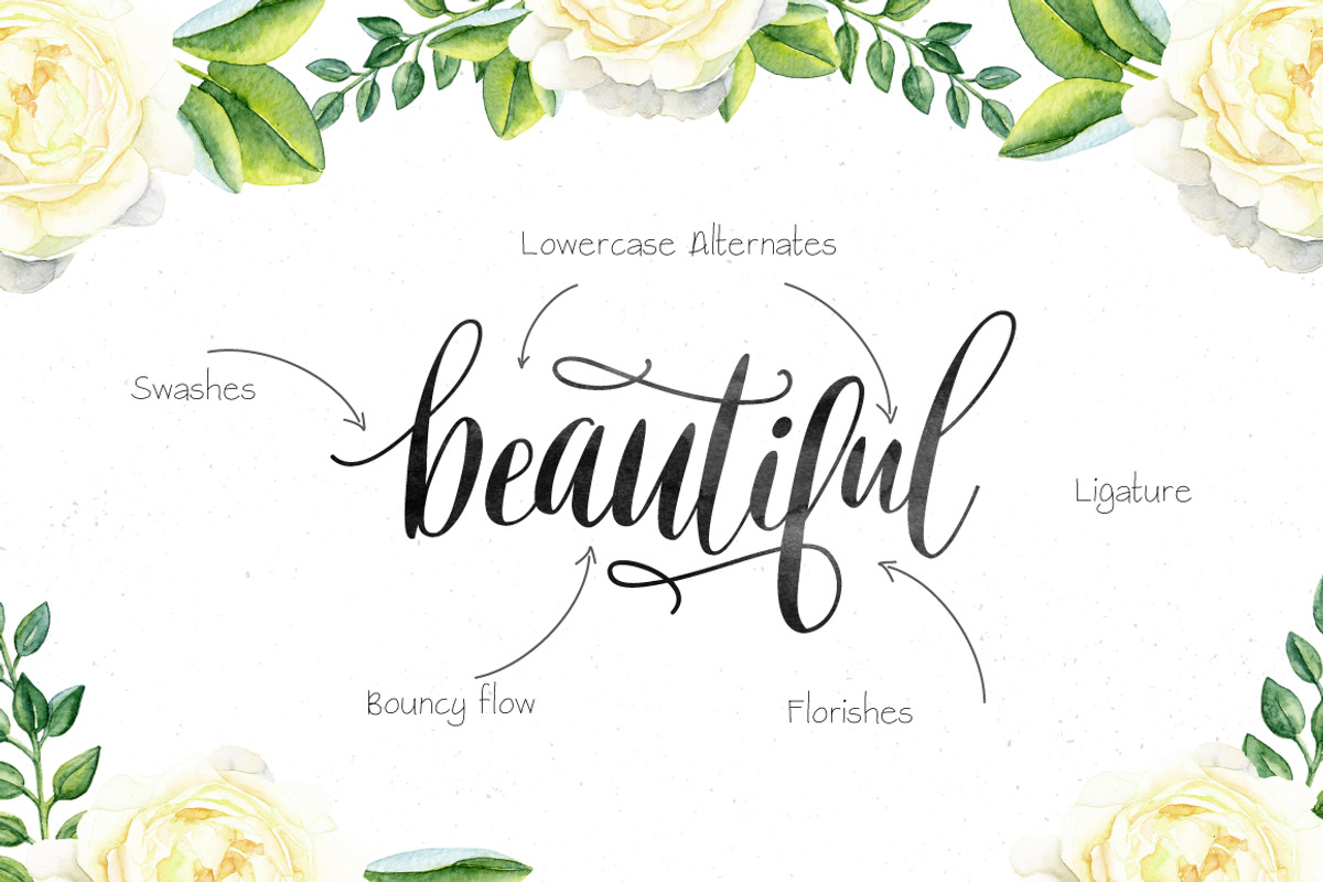 Alejandra Script preview 5