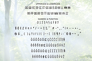Sunday Sunshine | Script Font, a Script Font by Scratchones (Thumbnail 7 of 8)