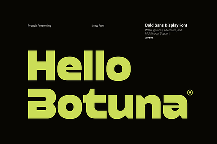 Hello Botuna - Bold Sans Display