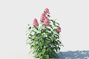Phlox, an Environmental 3D Model by happy brush (Thumbnail 1 of 6)
