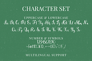 Merelya, a Handwritten Font by Dm Studio (Thumbnail 9 of 10)