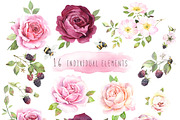 Watercolor rose and blackberry set, an Illustration by PS_patterns (Thumbnail 2 of 6)
