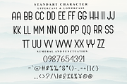 Playful, a Sans Serif Font by FreshTypeINK (Thumbnail 7 of 7)