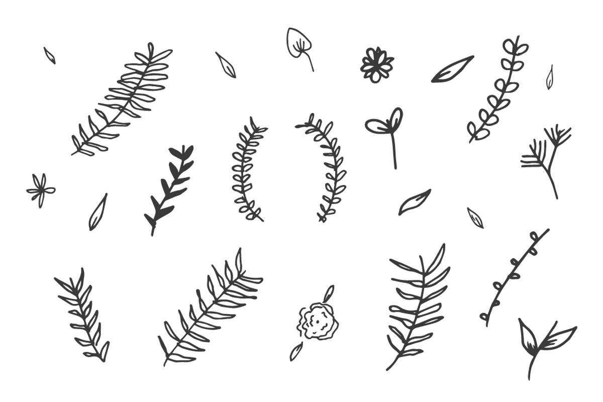Hand Drawn Botanical Doodles, an Illustration by Meagan Apperson (Photo 3 of 3)