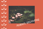 In the Meadow, a Serif Font by Midnight Grim (Thumbnail 4 of 8)