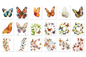 Summer Butterfly Png 65 Graphics