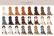 Vizsladoodle (Vizsla Poodle mix), an Animal Illustration by pet design shop (Thumbnail 3 of 6)