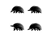 Echidna Logo, a Graphic by NataliiaVolyk (Thumbnail 3 of 6)