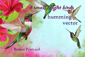 Set: Hummingbirds