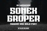 Sonex Groper, a Serif Font by alon kelakon (Thumbnail 1 of 6)