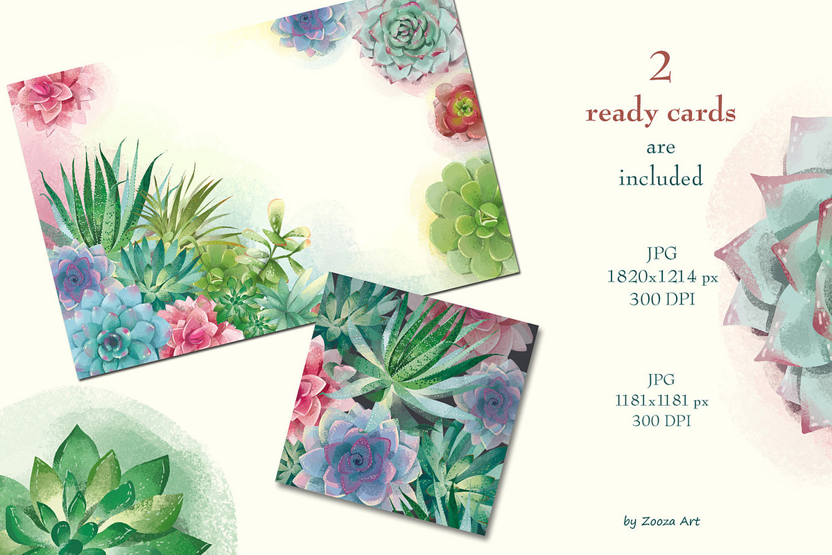 Succulents: 12 images, 6 patterns, an Illustration by Zooza Art (Photo 8 of 9)