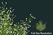 Various Grass Brushes for PS & PNGs, a Brush Add-On by Creative Graphics (Thumbnail 4 of 5)