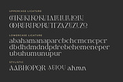 Shanell - Modern & Luxury Serif Font, a Serif Font by Typebae (Thumbnail 11 of 12)