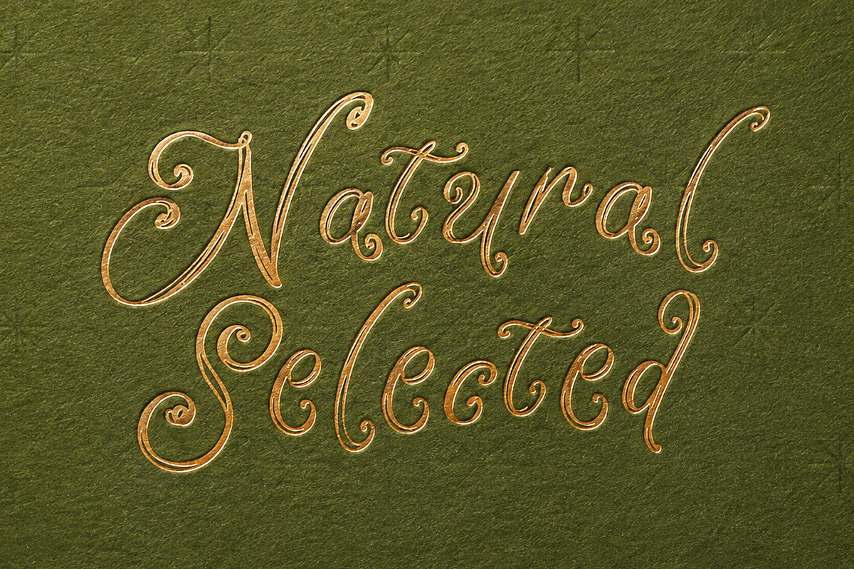 Rolling Scribless Curly Scribble, a Handwritten Font by Haps Space (Photo 12 of 15)