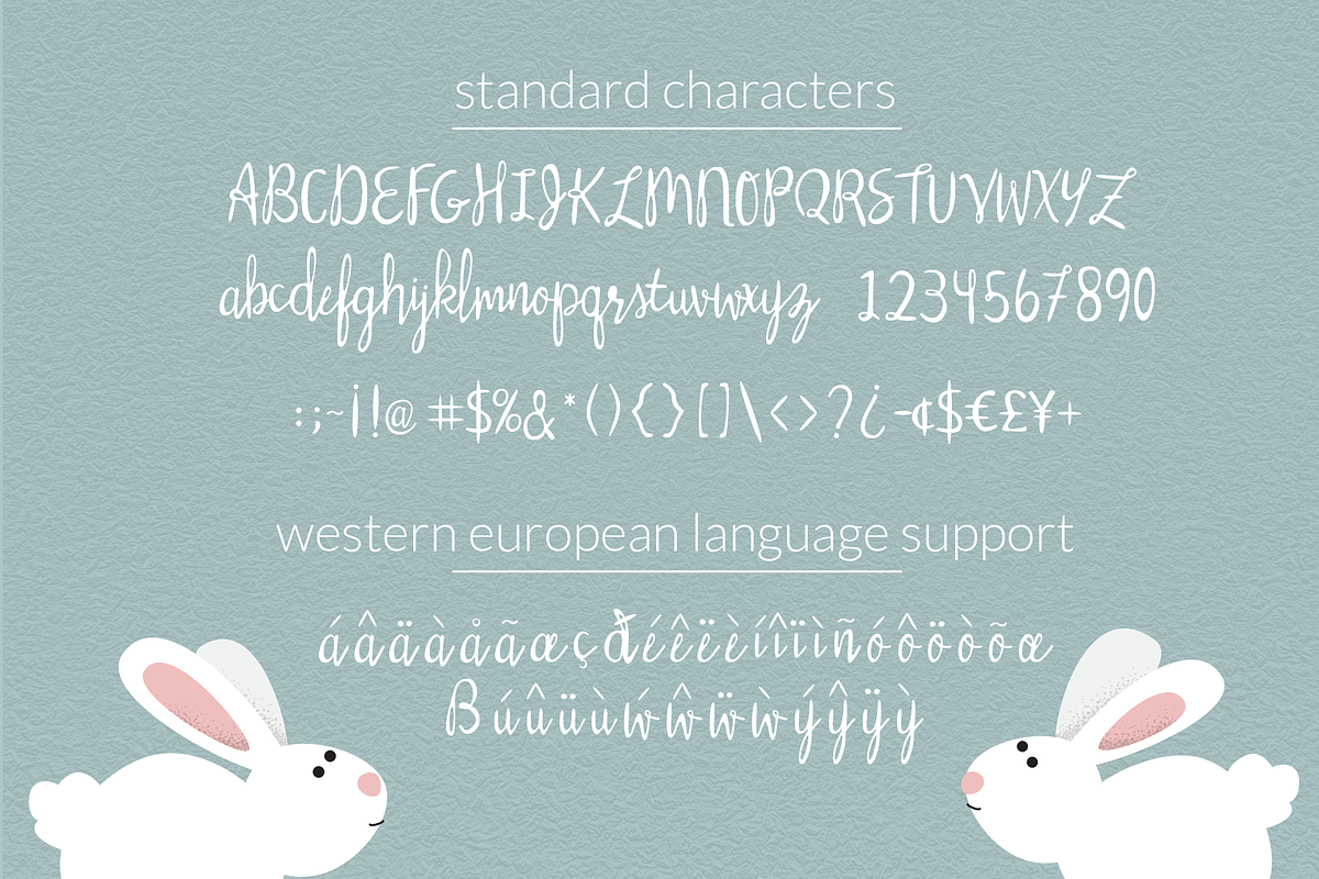 Silly Rabbit Script Font preview 4