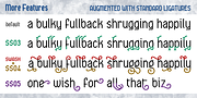 Anachrony, a Blackletter Font by Cerulean Stimuli (Thumbnail 8 of 10)