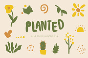 Planted Flower Sun Illustrations, a Solid Icon by CreativeWilderness (Thumbnail 1 of 13)
