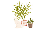 Houseplants composition, a Decorative Illustration by Good Studio (Thumbnail 2 of 3)