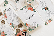 Blush & White Rose Wedding Suite, an Invitation Template by BlueRobinDesignShop (Thumbnail 1 of 15)
